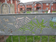 IMG_3867_t.gif