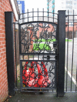 IMG_3884.v0_t.gif