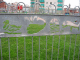 IMG_3842_t.gif