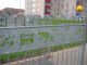IMG_3850_t.gif