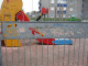 IMG_3862_t.gif