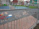 IMG_3863_t.gif