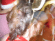 IMG_4418_t.gif