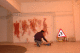 DSC_0343_t.gif