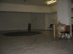 IMG_6850_t.gif