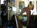 IMG_7049_t.gif