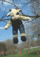 040504.field2_t.gif