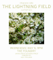 040505.lightning.foundry_t.gif