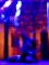 040625.005_t.gif