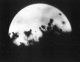 040713.moth.dilworth_t.gif