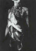 040714.brendan1_t.gif