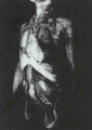 040714.brendan2_t.gif