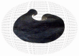 040831.henhall2_t.gif