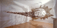 041109.miles2_t.gif