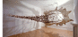 041109.miles_t.gif