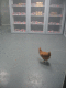 IMG_5831.v0_t.gif