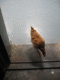IMG_5835.v0_t.gif