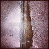 04-IMG_3523_t.gif