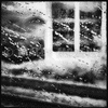 08-IMG_4697_t.gif
