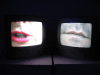 IMG_0849_t.gif