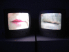 IMG_0852_t.gif