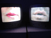 IMG_0854_t.gif