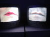 IMG_0856_t.gif