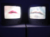 IMG_0857_t.gif