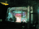 IMG_7628_t.gif
