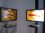 IMG_3411_t.gif