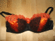 IMG_4645_t.gif